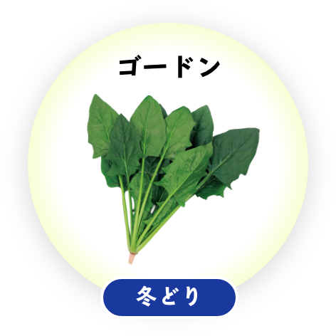 ゴードン