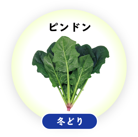 ピンドン