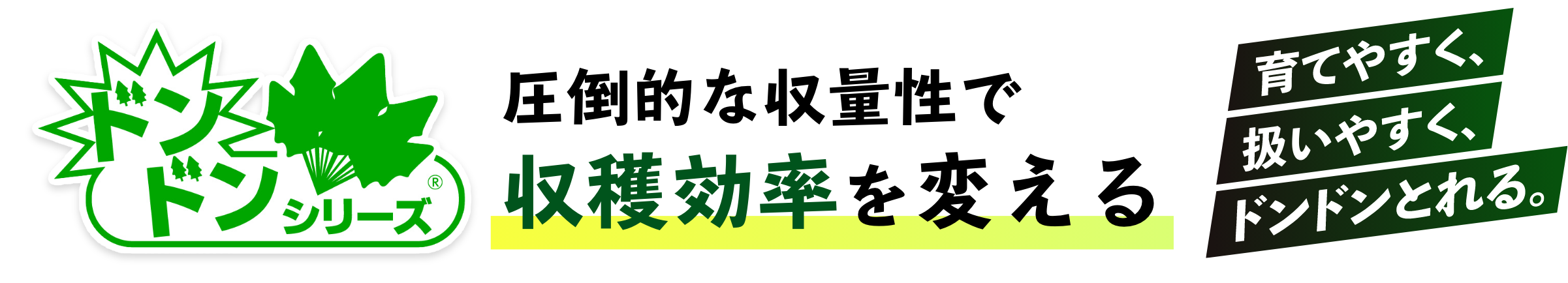どんどんシリーズ　圧倒的な収量性で収穫効率を変える 育てやすく、扱いやすく、どんどん採れる。
