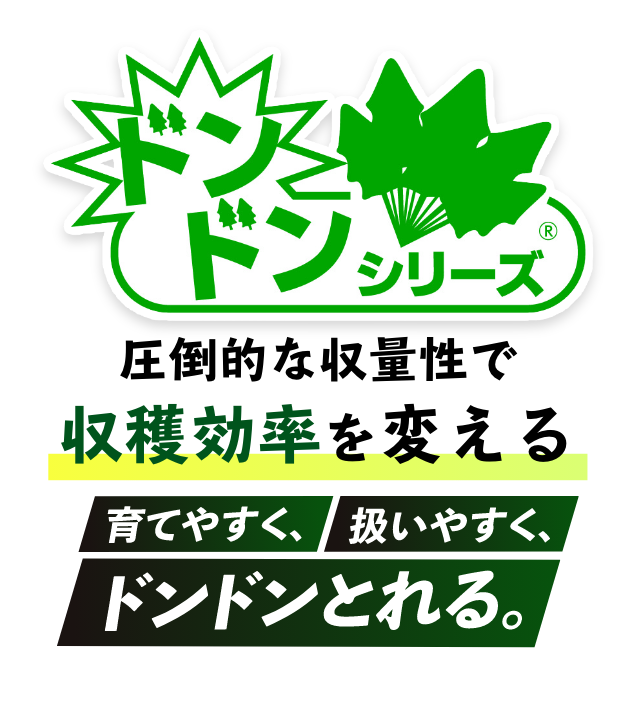 どんどんシリーズ　圧倒的な収量性で収穫効率を変える 育てやすく、扱いやすく、どんどん採れる。