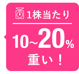 １株当たり１０～２０％重い！