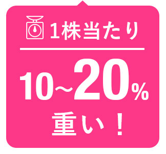 １株当たり１０～２０％重い！