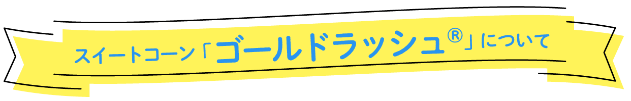 スイートコーン「ゴールドラッシュ」について