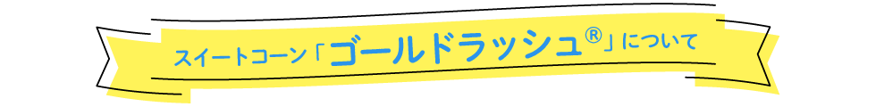 スイートコーン「ゴールドラッシュ」について