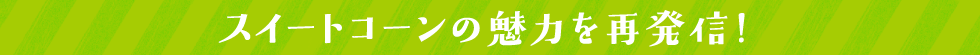 開発エピソード