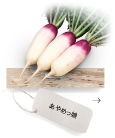あやめっ娘