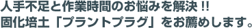 人手不足と作業時間のお悩みを解決!!固化培土「プラントプラグ」をお薦めします。