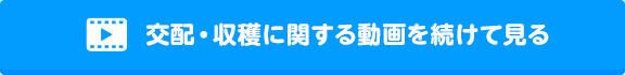 植え付けに関する動画をすぐに見る