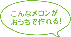 こんなメロンがおうちで作れる！