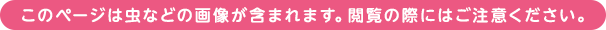 このページは虫などの画像が含まれます。閲覧の際にはご注意ください。 