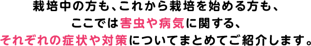 栽培中の方も、これから栽培を始める方も、 ここでは害虫や病気に関する、それぞれの症状や対策についてまとめてご紹介します。