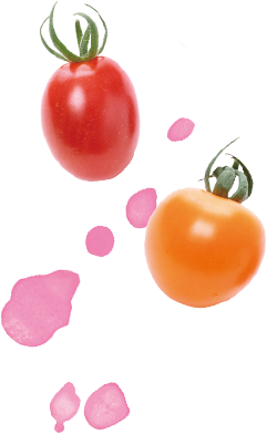 ポップでキュートなミニトマト Makesweets タネ 苗 園芸用品 農業用資材の総合案内 サカタのタネ