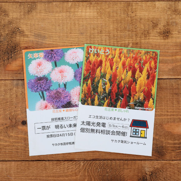 ～在庫限りの限定販売～　〈　花フォトシリーズ　〉