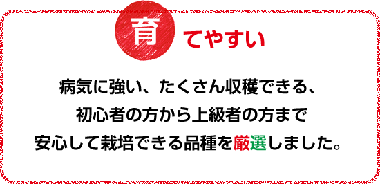 病気に強い、たくさん収穫できる、初心者の方から上級者の方まで安心して栽培できる品種を厳選しました。