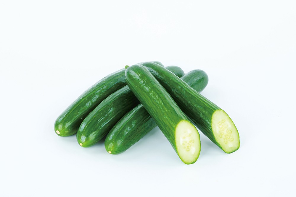 ずーっとフリーダム