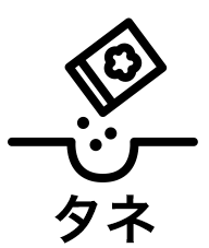 接木苗