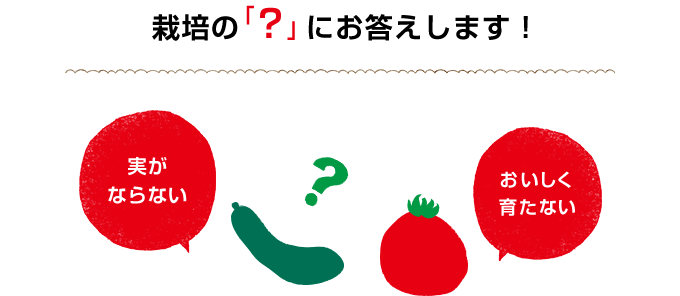 栽培の「？」にお答えします！