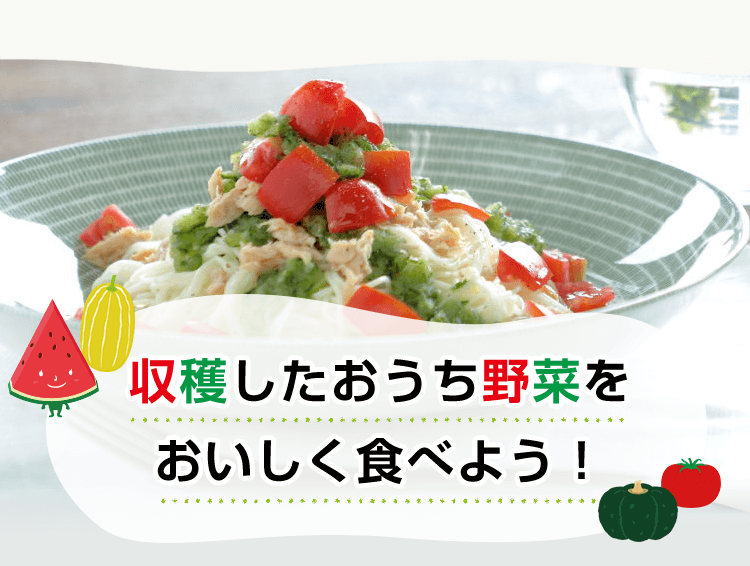 収穫したおうち野菜をおいしく食べよう！