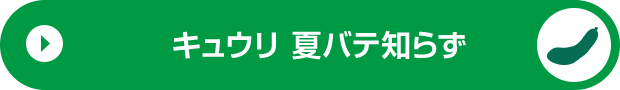 キュウリ 夏バテ知らず