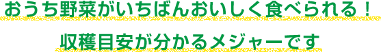 おうち野菜がいちばんおいしく食べられる！収穫目安が分かるメジャーです