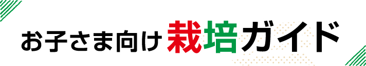 お子さま向け 栽培ガイド