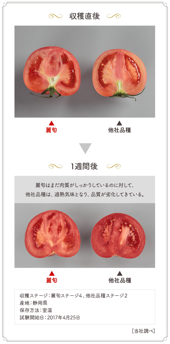 収穫直後→1週間後