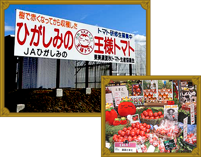 JAひがしみの