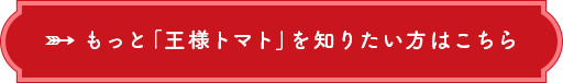 もっと「王様トマト」を知りたい方はこちら