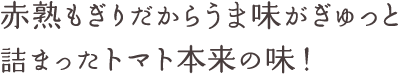 赤熟もぎりだからうま味がぎゅっと詰まったトマト本来の味！