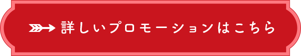 詳しいプロモーションはこちら