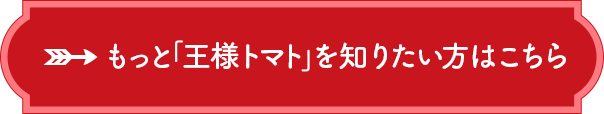 もっと「王様トマト」を知りたい方はこちら