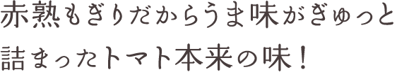 赤熟もぎりだからうま味がぎゅっと詰まったトマト本来の味！