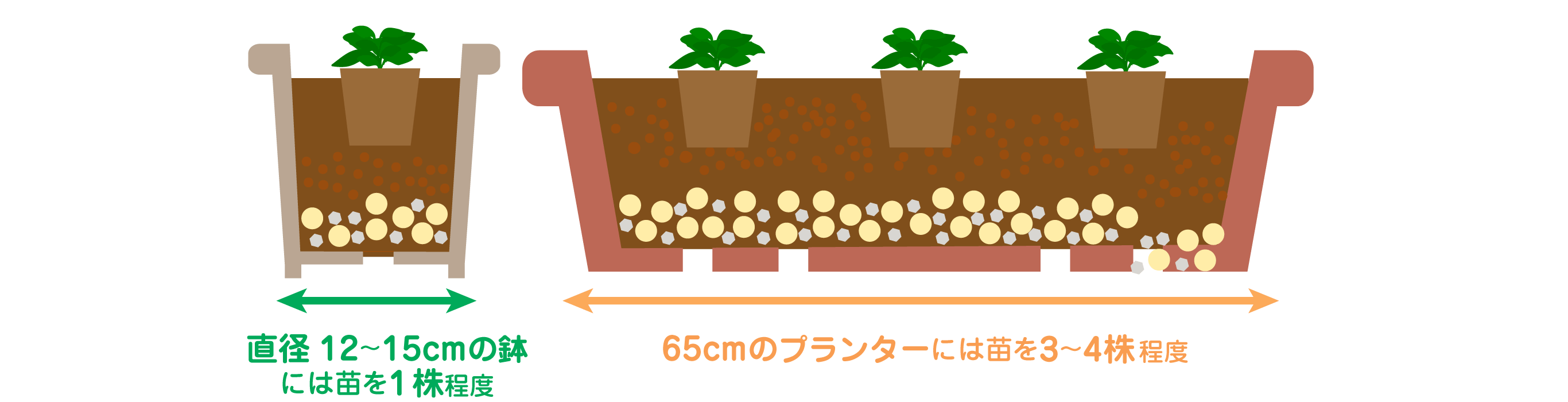 パンジー ビオラ コレクション タネ 苗 園芸用品 農業用資材の総合案内 サカタのタネ