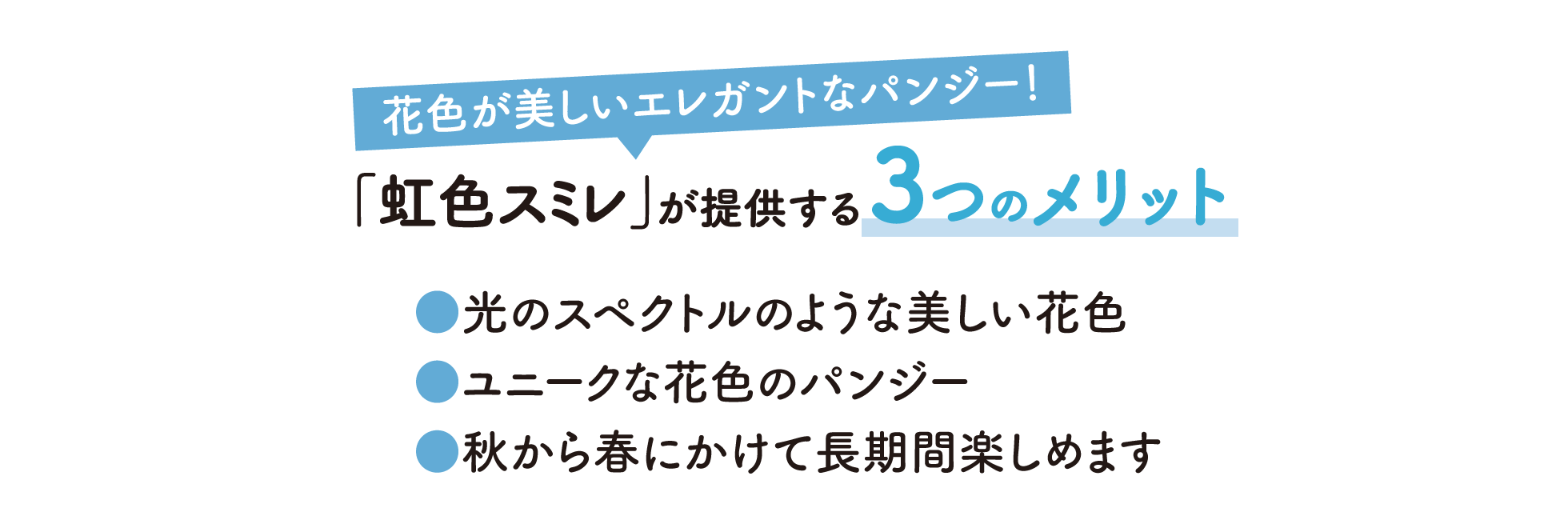 虹色スミレが提供する3つのメリット