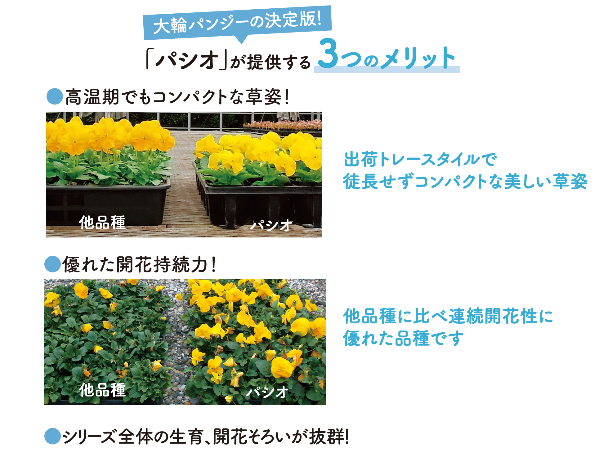 パシオが提供する3つのメリット