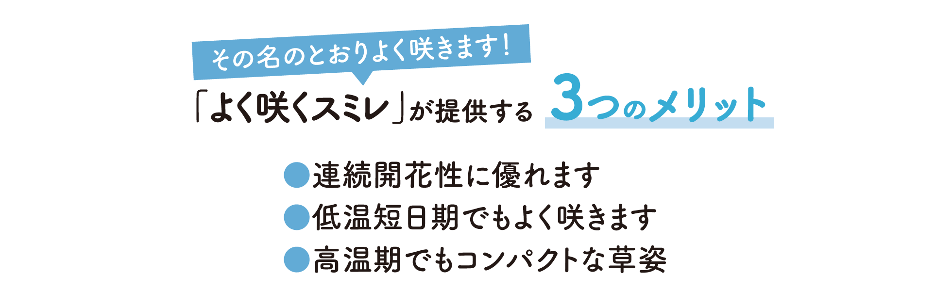 よく咲くスミレが提供する3つのメリット