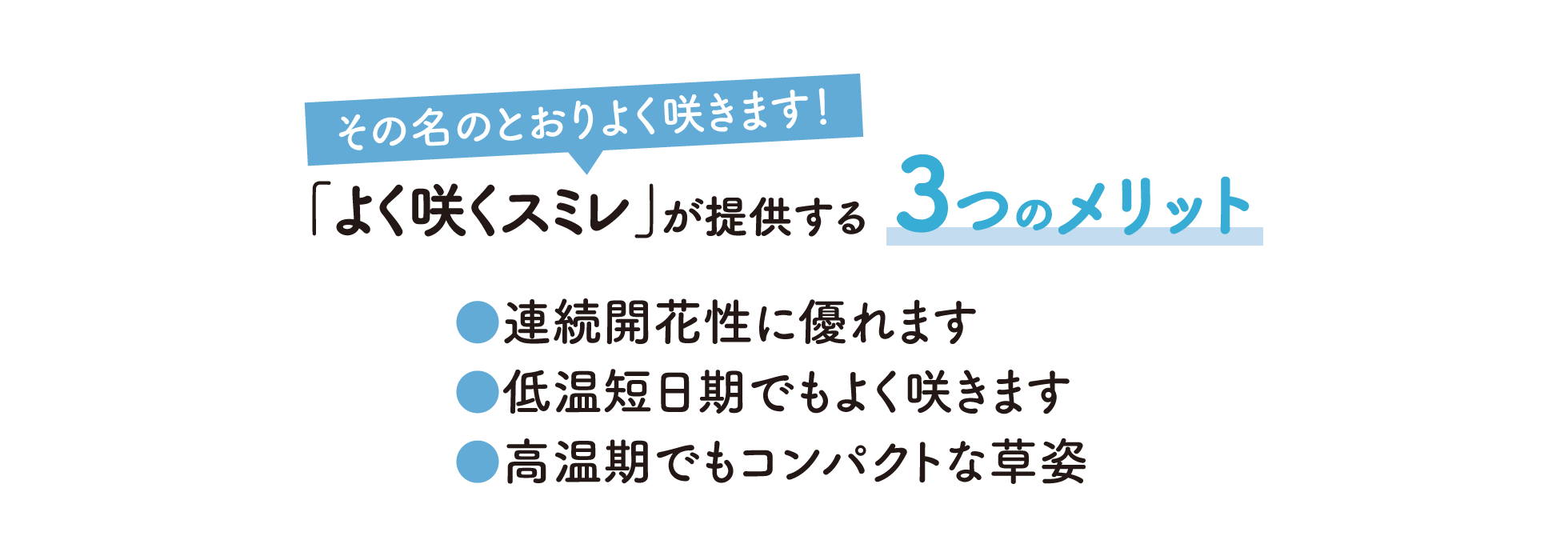 よく咲くスミレが提供する3つのメリット