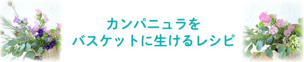 食カンパニュラをバスケットに生けるレシピ