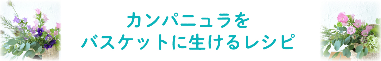 カンパニュラをバスケットに生けるレシピ