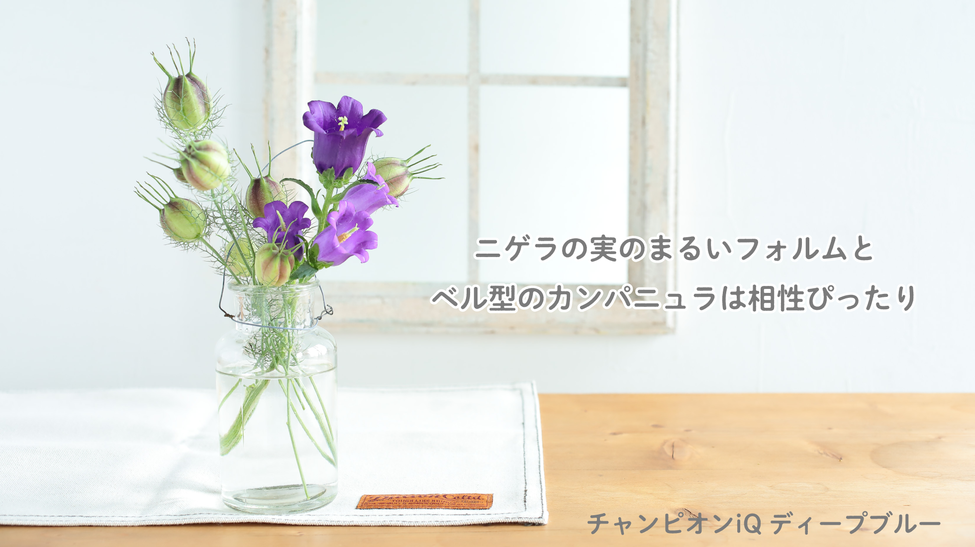 The Beautiful Recipe Of Campanula 切り分けて飾る チャンピオン シリーズ タネ 苗 園芸用品 農業用資材の総合案内 サカタのタネ