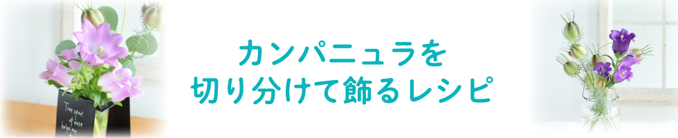 カンパニュラを切り分けて飾るレシピ