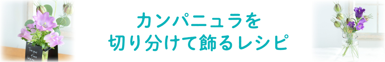 カンパニュラを切り分けて飾るレシピ