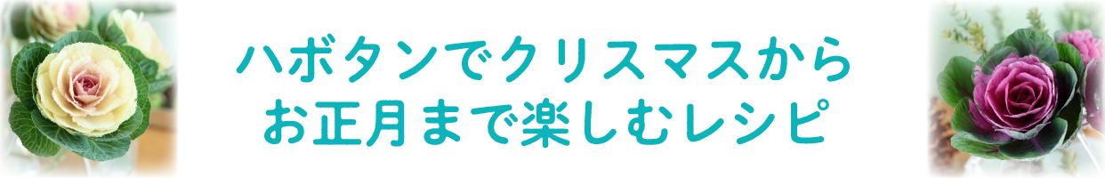 ハボタンでクリスマスからお正月まで楽しむレシピ