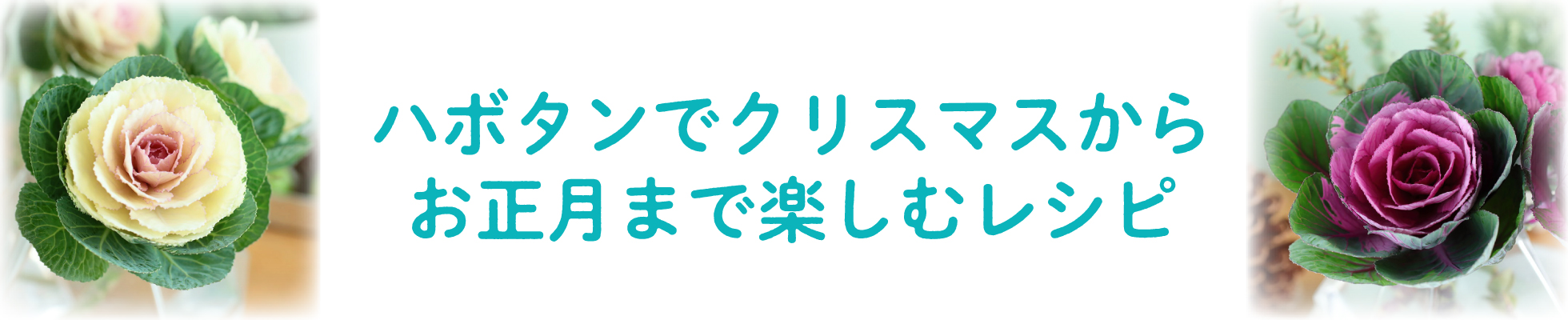 ひとつの花材でクリスマスからお正月まで楽しむ「円(まどか)春の宴」「円(まどか)春の紅」レシピ