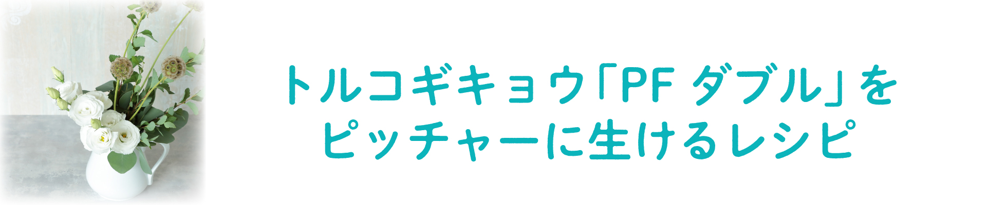 「PF ダブル」をピッチャーに生ける-