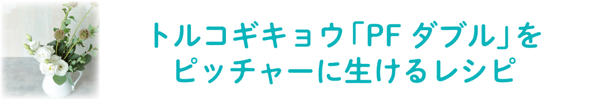 「PF ダブル」をピッチャーに生ける-