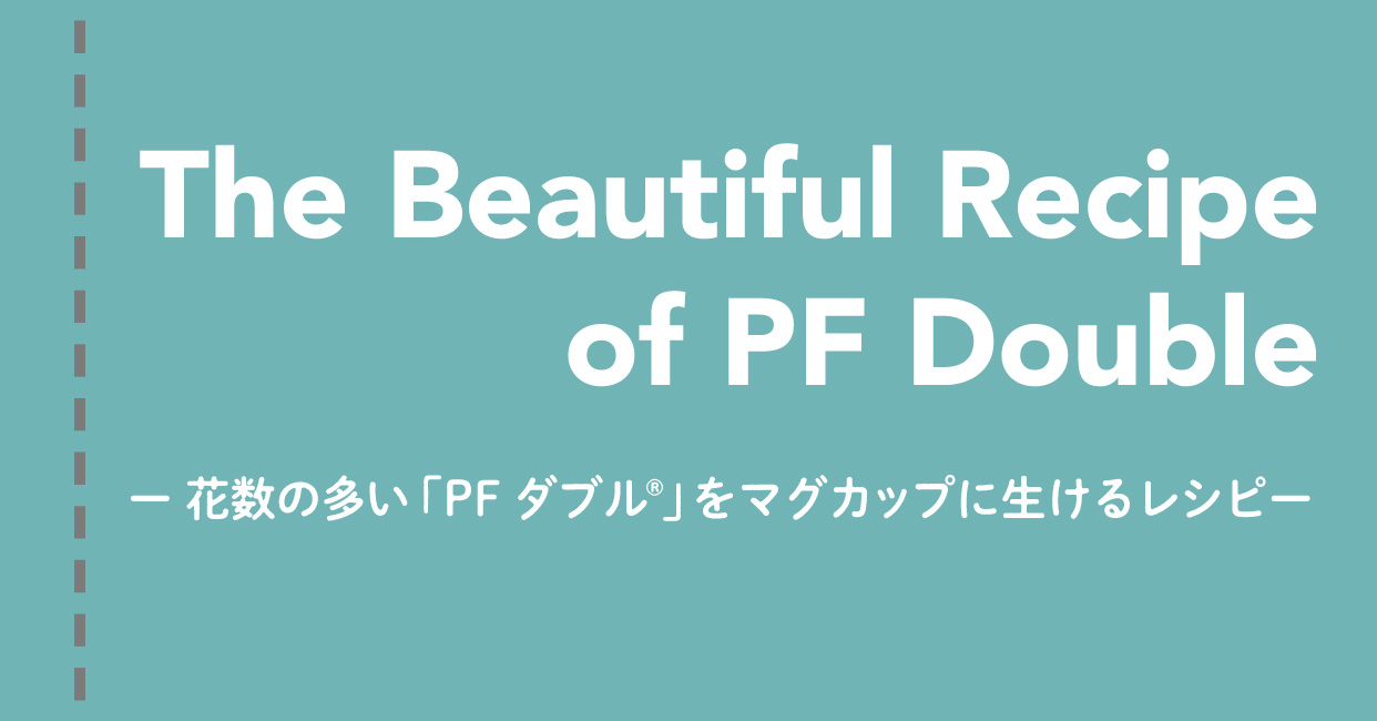 The Beautiful Recipe of PF Double -花数の多い「PF ダブル」をマグカップに生ける-