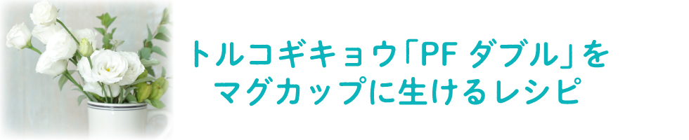 花数の多い「PF ダブル」をマグカップに生けるレシピ