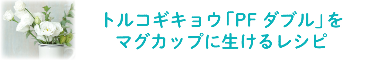 花数の多い「PF ダブル」をマグカップに生けるレシピ