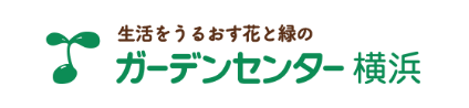 ショップ